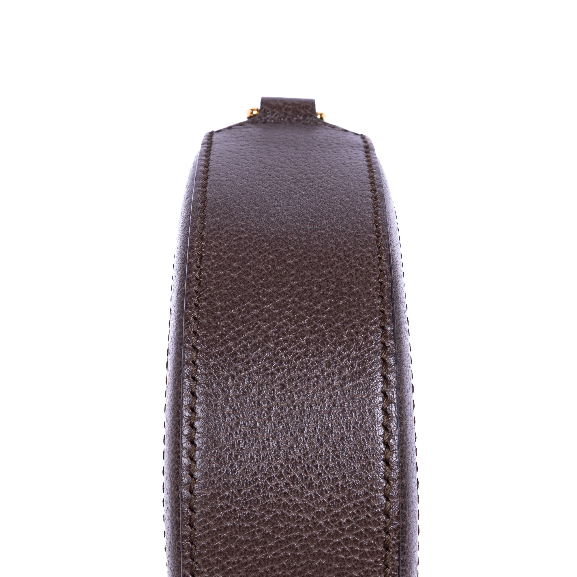 Mini Round Chain Ophidia Crossbody 