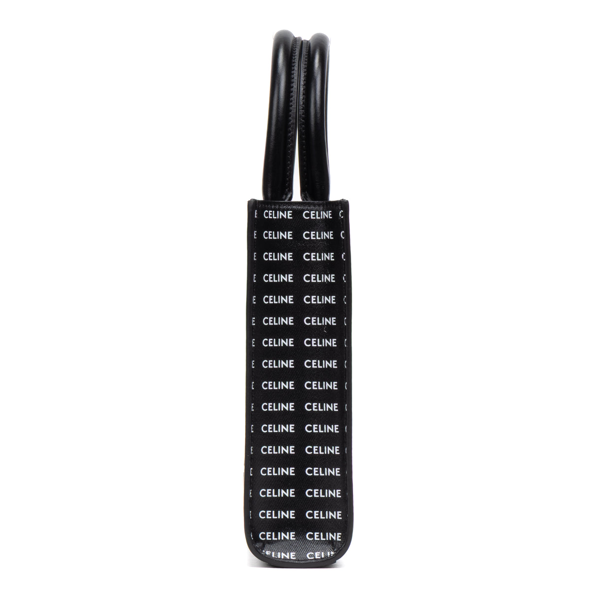 Vertical Cabas Tote Mini