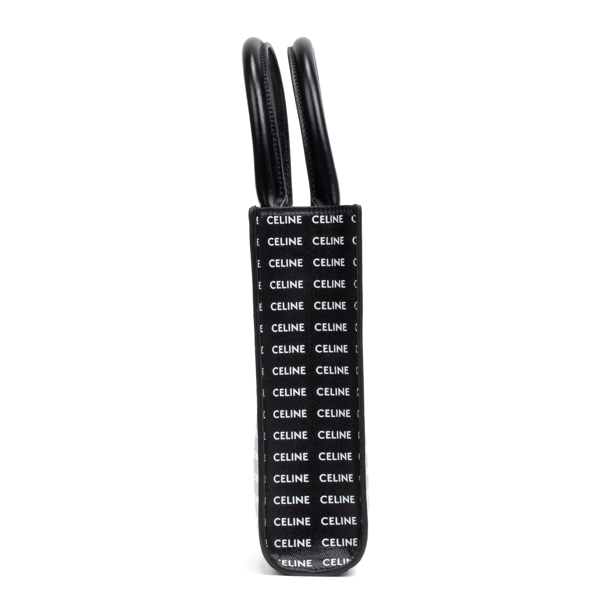 Mini Vertical Cabas Tote Medium