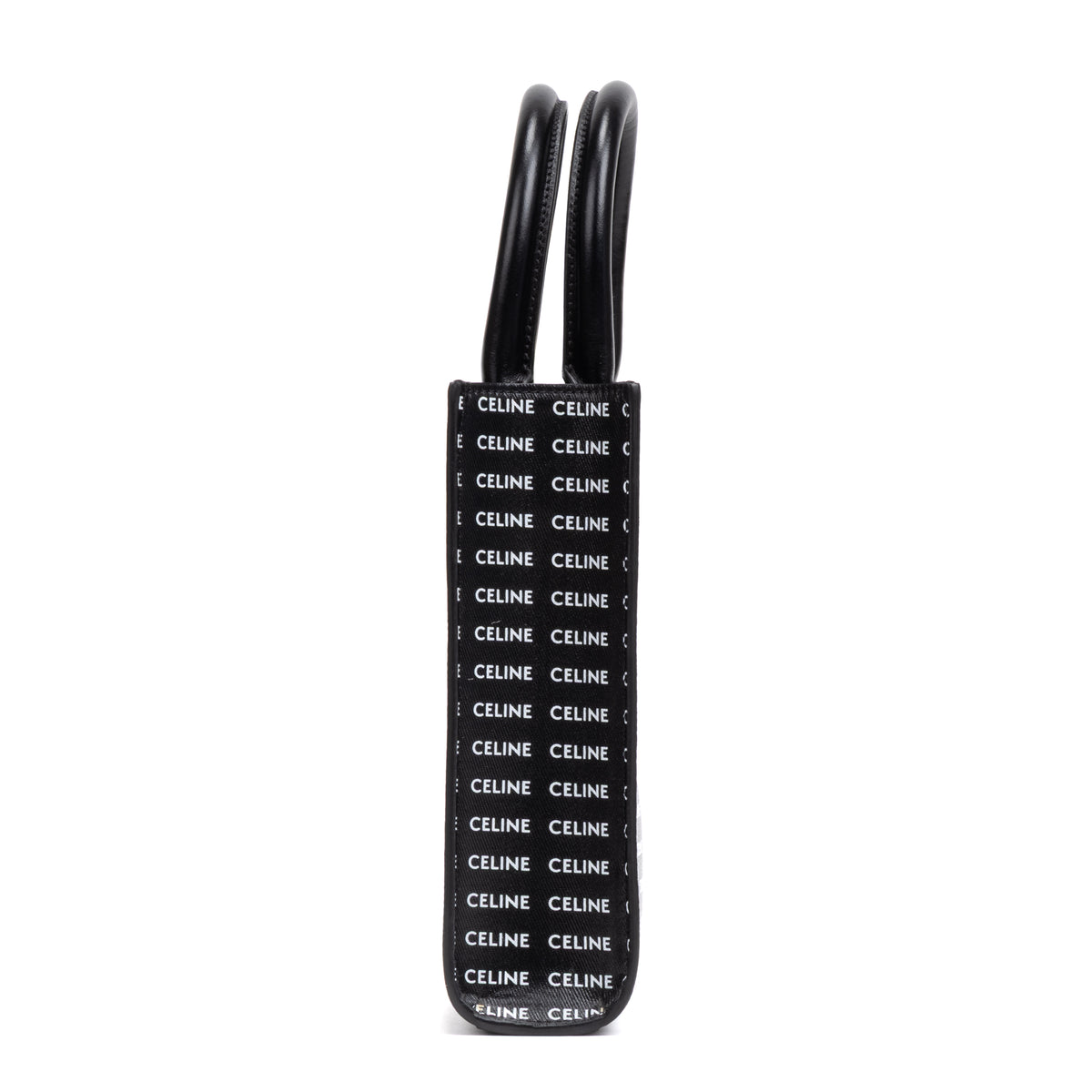 Mini Vertical Cabas Tote Medium