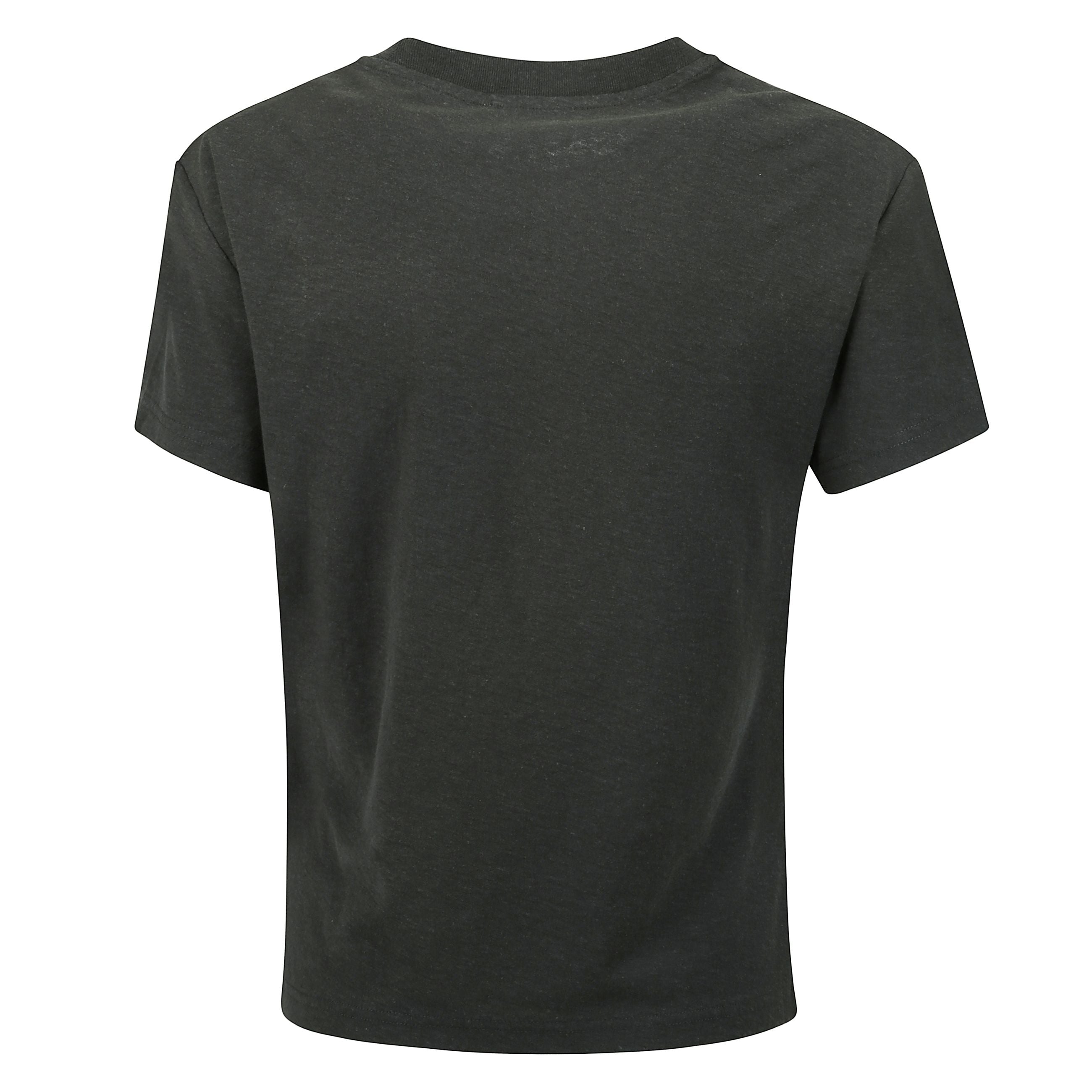 T-shirt a maniche corte in cotone e canapa. vestibilitÃ  regolare con lunghezza ai fianchi e scollo a girocollo. lâeffetto consumato su collo, maniche e orlo conferisce un mood vintage e autentico, mentre il logo del brand stampato sul fronte aggiunge u